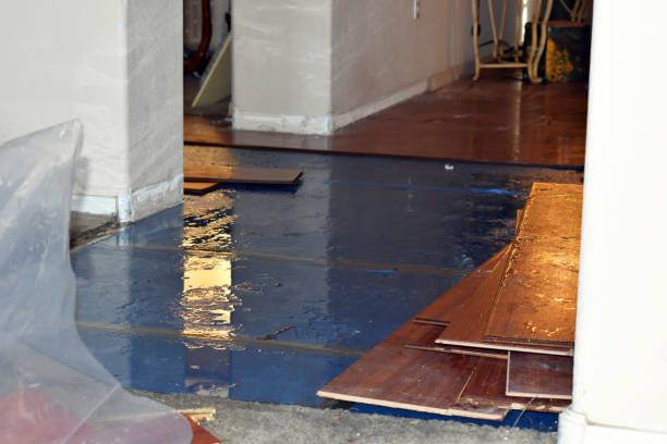Professional Sewage Cleanup technician working in Thrall, TX